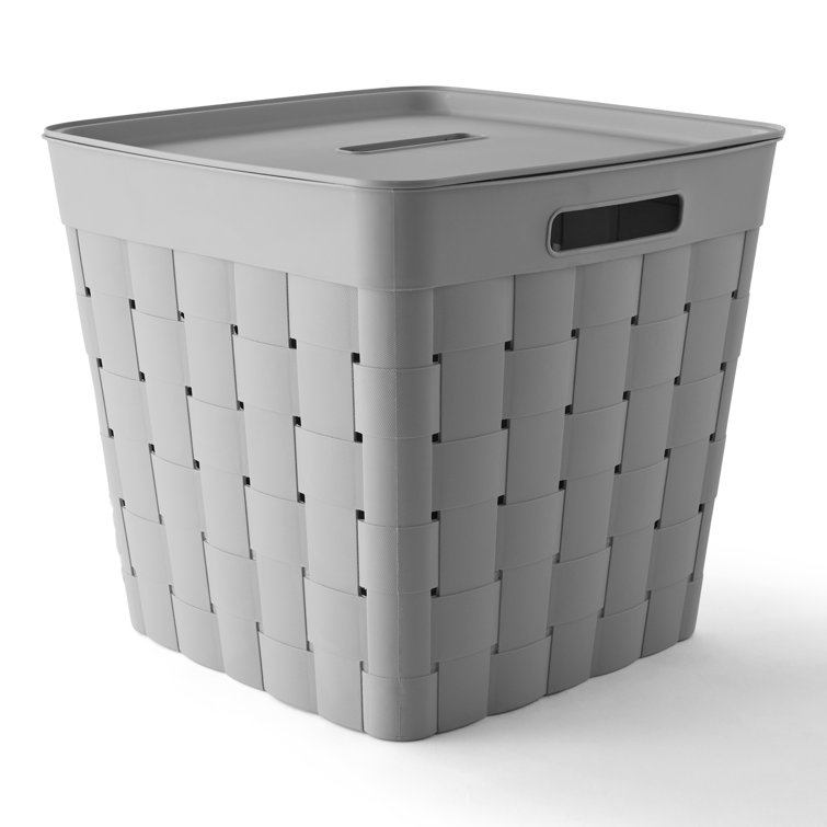 Rebrilliant Plastic Bin Set & Reviews Wayfair